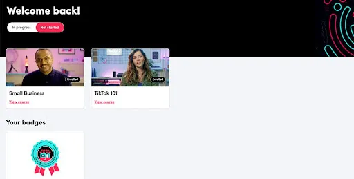 Pantalla histórica de TikTok Academy con los programas Small Business y TikTok 101